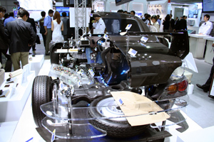 0523asmtrunkIMG_4874.jpg