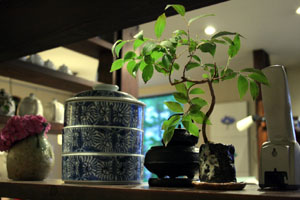 0615tanaIMG_6863.jpg