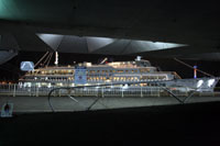 0619wingIMG_7305.jpg