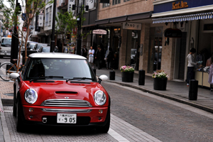 190121_mini_asm_.jpg