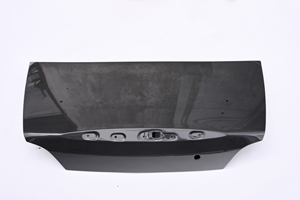 200114trunk_.jpg